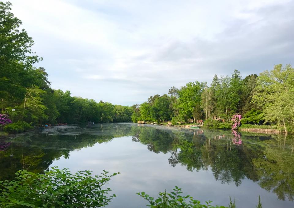 Lake Pine lake view