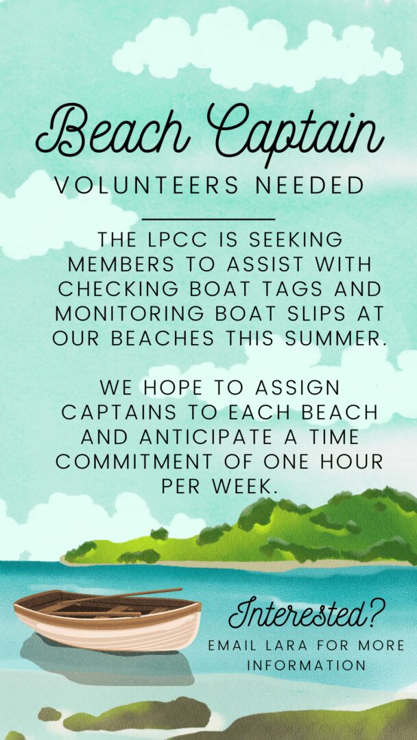 Beach Captain wanted