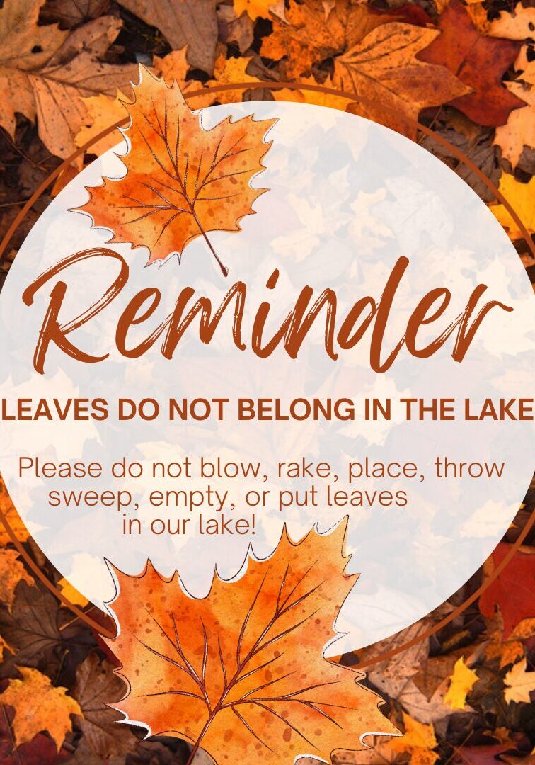 LeavesInLake Reminder